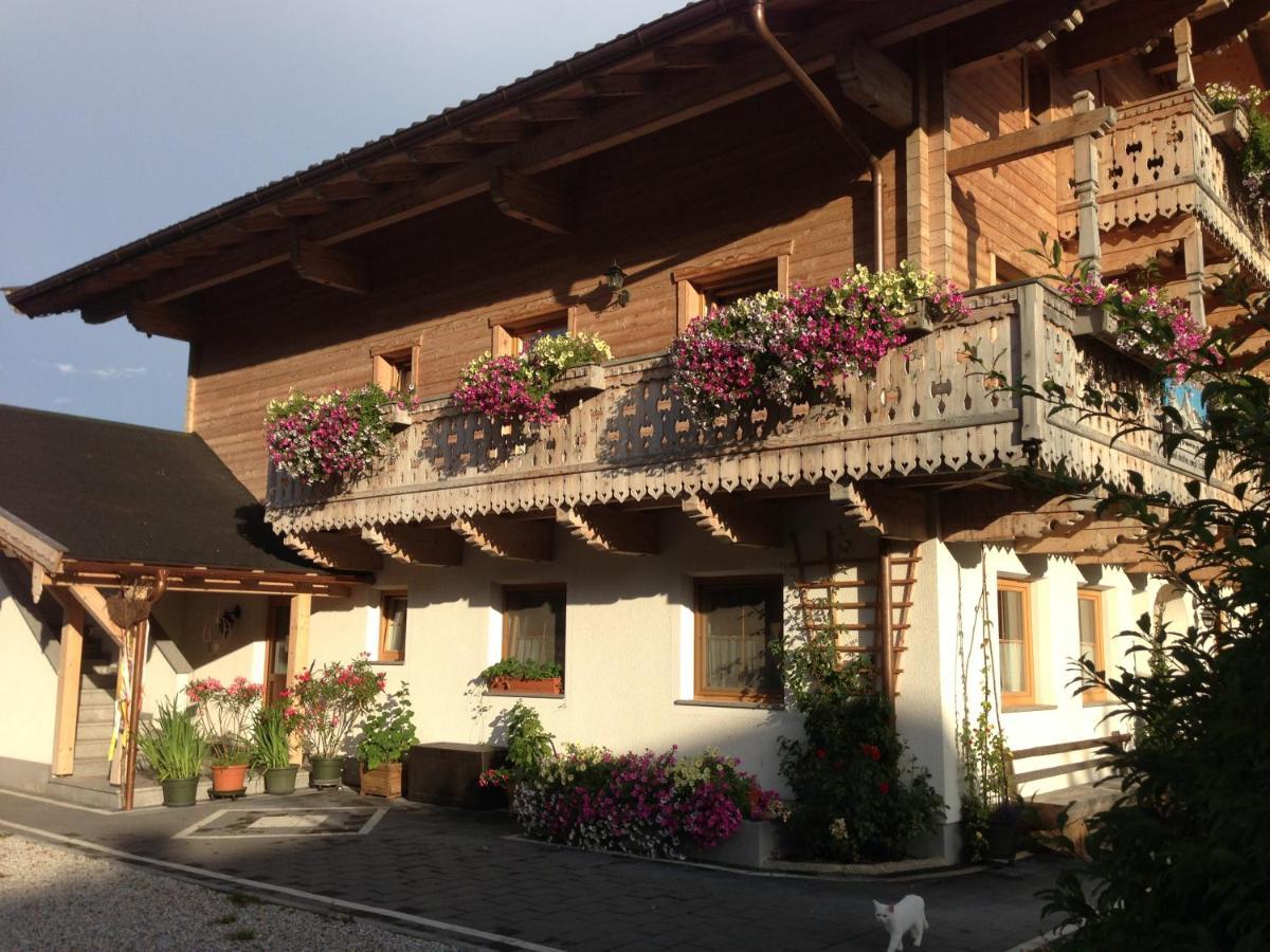 Ferienwohnungen Am Biobauernhof Lahner 브람베르크 암 빌트코겔 외부 사진